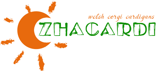 Welsh corgi cardigans Zhacardi, Moscow.